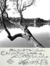 “Bức ảnh Hồ Gươm, vạt nắng soi thân cây gân guốc in trên mặt nước dịu dàng” - Ảnh do nhân vật cung cấp