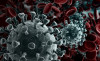 Hình ảnh ghê rợn của Coronavirus - Ảnh: koronavirus.gov.hu