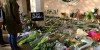 Hoa được đặt tại nơi thầy giáo bị sát hại - Ảnh: Bertrand Guay (AFP)