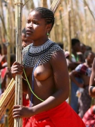 Chùm ảnh VŨ HỘI CỦA CÁC TRINH NỮ SWAZILAND