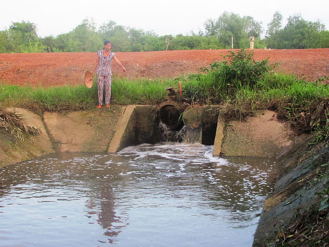 Nhà máy Xử lý nước thải Khu công nghiệp Long Thành đang “bức tử” sông Đồng Nai - Ảnh: petrotimes.vn