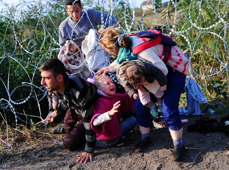 Một trong những cảnh tượng động lòng nhất khi người tỵ nạn đối mặt với hàng rào ngăn cản họ - Ảnh: Kisbenedek Attila (AFP)