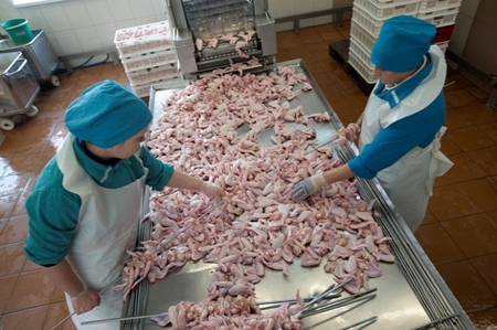 Hội đồng Sản phẩm Gia cầm cho rằng cũng cần giảm thuế VAT cho thịt gà - Ảnh: Pavel Lisitsyn (AFP)