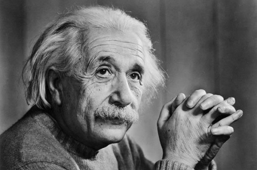 Nhiều vĩ nhân, trong đó có Albert Einstein cũng là người ăn chay