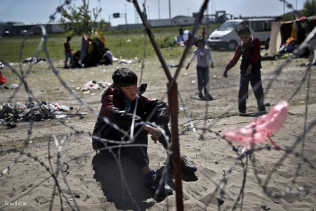 Người xin tỵ nạn tại “khu vực quá cảnh” ở vùng Röszke (biên giới Hungary - Serbia) - Ảnh: Huszti István (index.hu)
