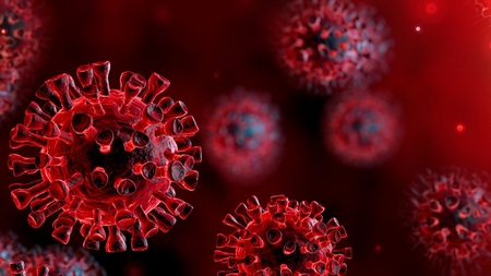 Coronavirus chủng mới lan tràn khắp thế giới