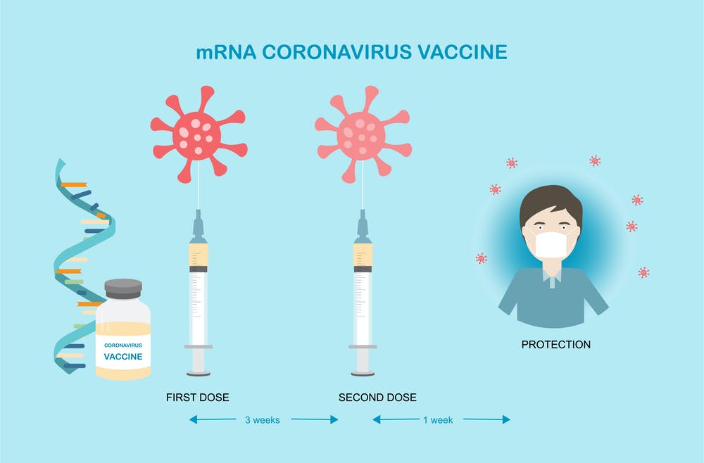 Hai loại vaccine trên nền tảng công nghệ mRNA đầu tiên