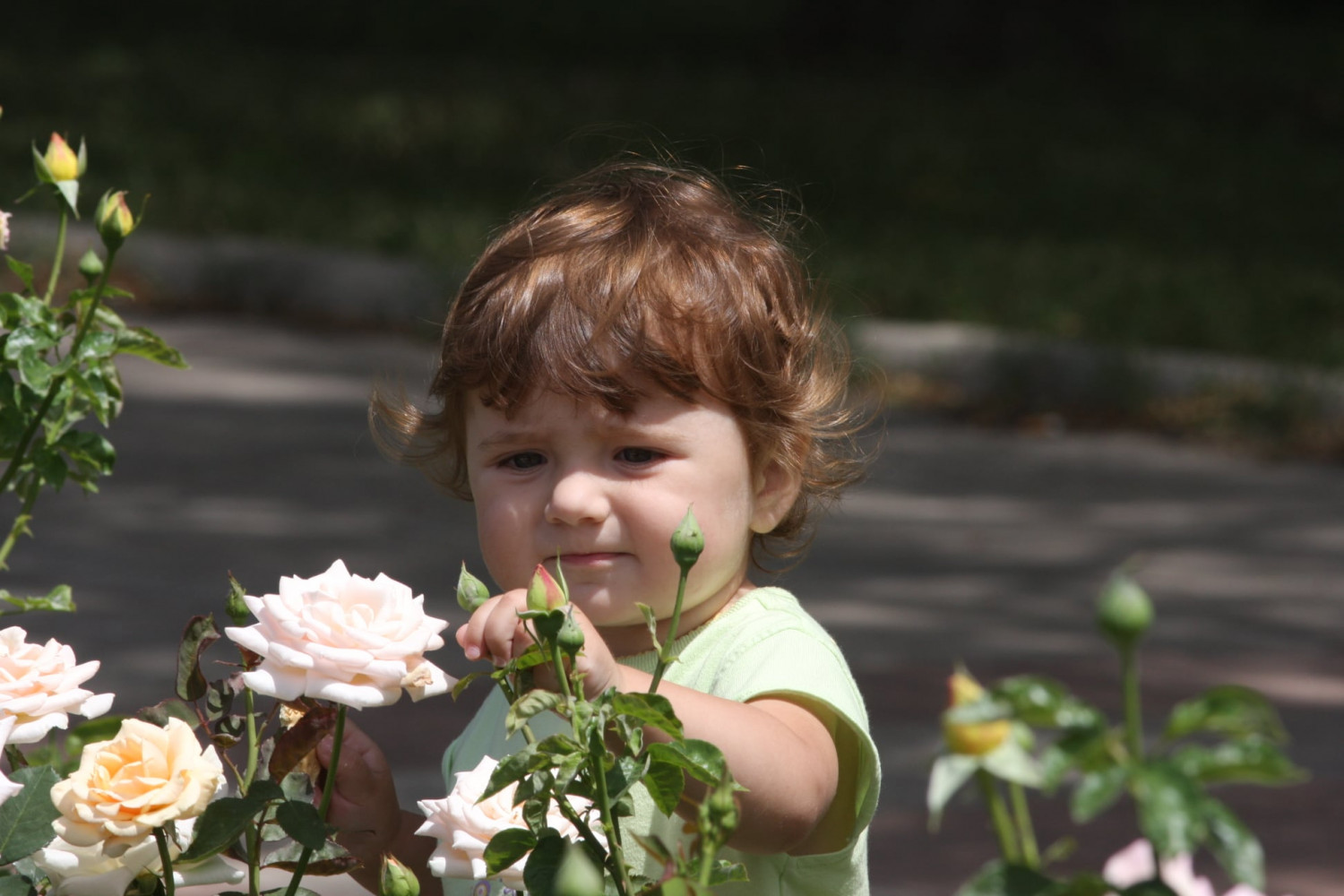 Em bé trong vườn hồng ở Donetsk. Nơi đây có rất nhiều hoa hồng, kể cả hoa hồng được đúc bằng thép.