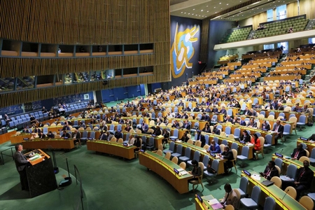 Biểu quyết tại Đại hội đồng Liên Hiệp Quốc - Ảnh: Michael M. Santiago/Getty Images