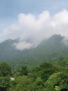 Tùy bút của Nguyễn Thị Hậu: HOÀI NIỆM XỨ ĐOÀI