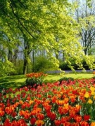 Chùm thơ của Trần Thị Thanh Thúy: 