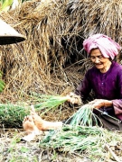 Tâm sự quê hương: CÙNG MỘT KIẾP NGƯỜI