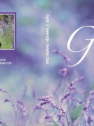 Chùm thơ của Hoàng Yến Anh: “ANH NHỚ  ĐIỀU GÌ NHẤT Ở TRONG EM?”