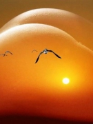 Chùm thơ của Đăng Hương: “MÁU CỨ ỨA MỖI LẦN NHẮC TÊN ANH”