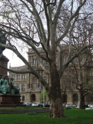 CHÁU GÁI ROOSEVELT PHẢN ÐỐI CHÍNH QUYỀN BUDAPEST?