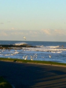 NHỮNG CHUYẾN ÐI MÙA HẠ