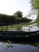 Ðọc sách: “THÁNG TÁM” CỦA SOPHIE LASSERRE