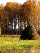 Một cách đọc Márai Sándor: “BỐN MÙA & TRỜI VÀ ÐẤT”