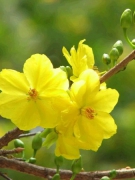 XỔ SỐ VUI XUÂN NHÂM THÌN 2012