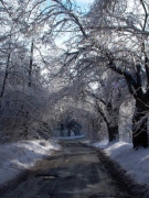 “THƯƠNG NHỚ MƯỜI HAI” TRONG “BỐN MÙA” CỦA MÁRAI SÁNDOR (Kỳ 1)