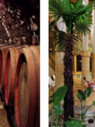 DU LỊCH THƯỞNG THỨC RƯỢU TOKAJ VÀ TẮM NƯỚC KHOÁNG