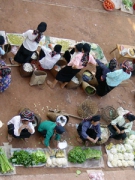 CHUYỆN TRÊN ĐƯỜNG (3)