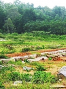 TỈNH THANH HÓA VÀ “QUẢ ĐẮNG” ĐÀN TẾ NAM GIAO NHÀ HỒ