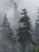 VÀ KHI TRO BỤI…