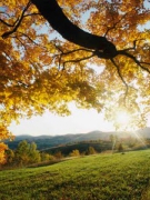 “THƯƠNG NHỚ MƯỜI HAI” TRONG “BỐN MÙA” CỦA MÁRAI SÁNDOR (Kỳ 5)