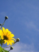 ĐÀ LẠT! ĐÀ LẠT!