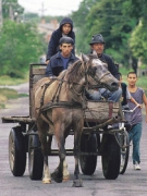 PHÁP THÔI CẤP TRỢ CẤP HỒI HƯƠNG CHO DÂN TZIGANE