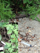 NHỮNG KẺ VÔ DANH  (Phần 1)