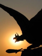 Ở RU, PHẢI NÓI TIẾNG RU!