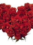 Truyện chớp của Nguyễn Hoài Phương: HOA CHO NGÀY VALENTINE