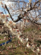 Chùm thơ của Khánh An: SAO KHÔNG AI CÓ THỂ LÀ ANH?