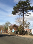 Tạp ghi của Vương Minh Thu: NGÀY THÁNG NÀO ĐÃ RA ĐI…