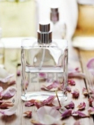 TRỘM NƯỚC HOA, BỊ TRỤC XUẤT