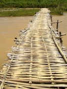 Truyện ngắn của Nguyễn Thị Thanh Lưu: KÝ ỨC THÌ TƯƠNG LAI