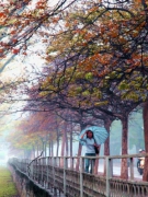 THÀNH PHỐ YÊN TĨNH