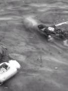 Nói với con: MƯU SINH