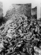 BỊ TÙ TREO VÌ PHỦ NHẬN HOLOCAUST