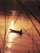 Câu chuyện cuộc đời: LỜI RU BẤT TẬN