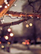 GIÁNG SINH NĂM NAY