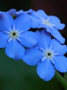 TẢN MẠN MÙNG TÁM THÁNG BA