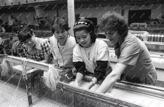 Cô Hegyi Anna, thợ dệt Hungary hướng dẫn cho các nữ công nhân Việt Nam - Ảnh tư liệu: Arany Gábor (MTI)