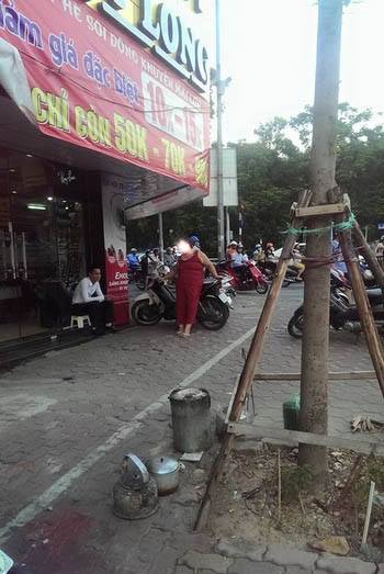 11721790 911938315516478 1609163586 n