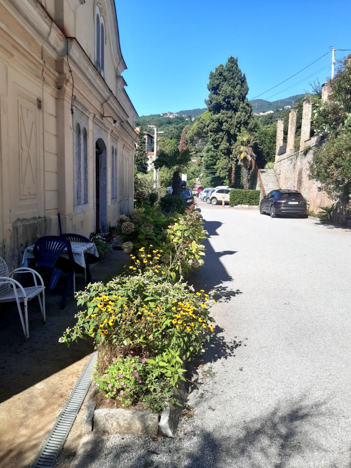 515018567 10162555772147655 6405755769354364183 n