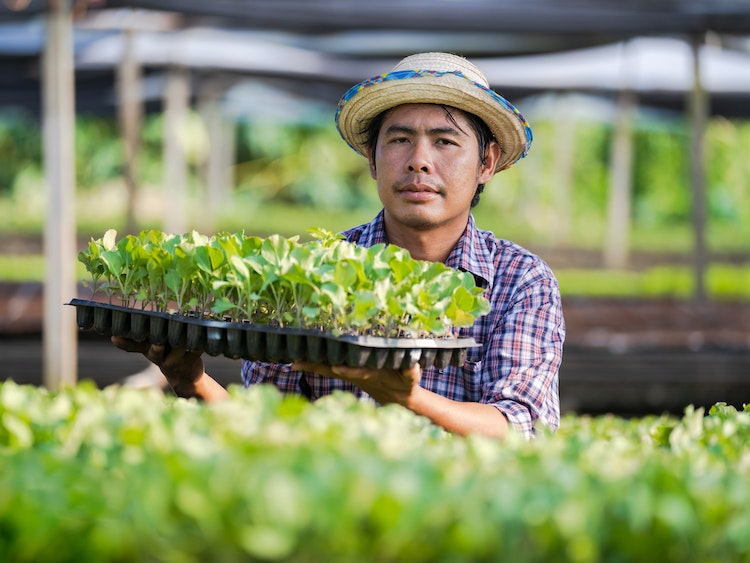 515544717 10162573478037655 8670567032990646923 n