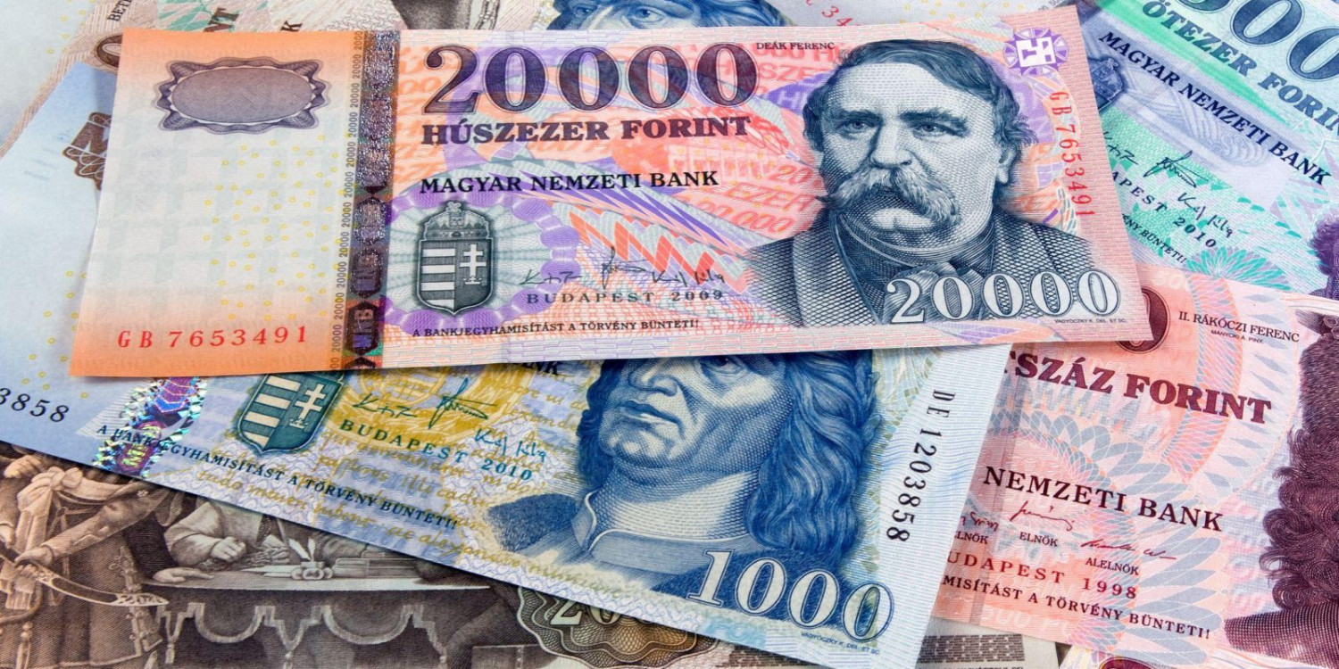 641283761 10163534177152655 4880072415224688557 n